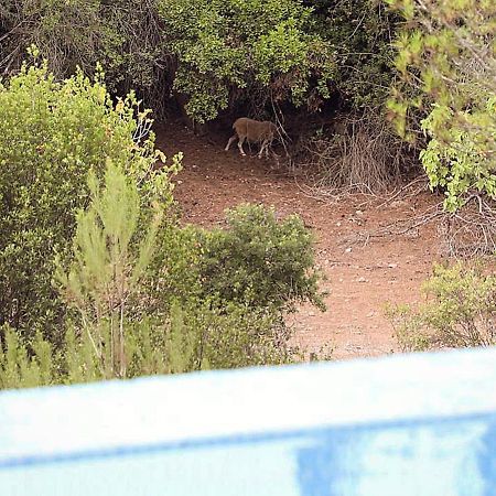 Finca Ses Eres Arta Exterior photo